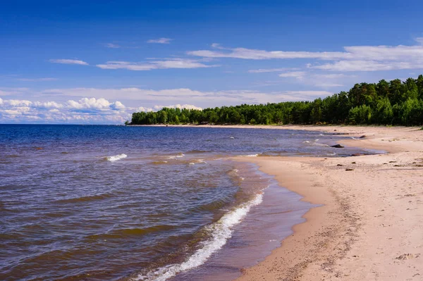 Malerische Küste Des Ladoga Sees Schöner Sandstrand Leningrader Gebiet Russland — Stockfoto