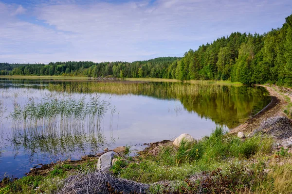 Beautiful forest lake in Finland. Traditional Finnish nature, beautiful summer landscape.