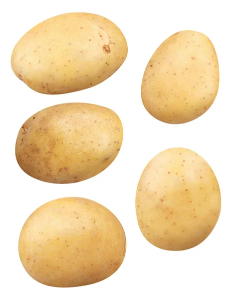 Geïsoleerde Aardappelen Verzameling Van Hele Stukken Aardappelen Geïsoleerd Witte Achtergrond — Stockfoto
