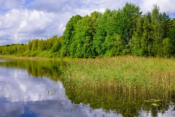 Beautiful forest lake in Finland. Traditional Finnish nature, beautiful summer landscape.