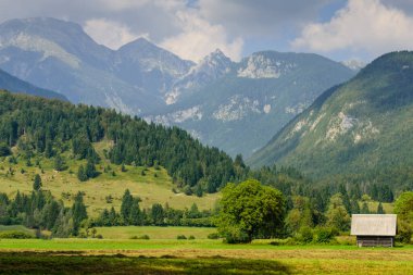 Güzel Slovenya manzarası. Triglav Ulusal Parkı, Julian Alps, Slovenya.