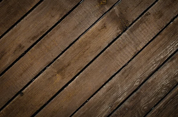 yeşil yaprakları akasya arka plan 