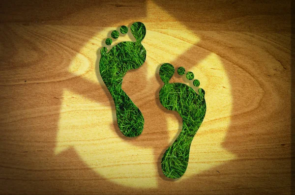 Yeşil çimenlerin üzerinde sarı çiçek