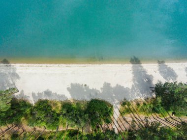 En üstteki sahil dalgası su ağaçları çam ağaçları tatil yapar