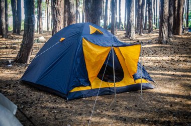Yazın güneşin altında bir çam ormanının gövdeleri arasında mavi bir çadır.