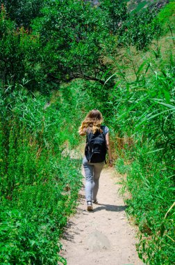 Sırt çantalı turist kız ağaçların ve çimenlerin arasında dağlarda bir patika boyunca gider.