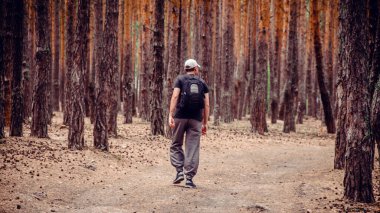 Adam ormanda çam ağaçlarının arasında bir patika boyunca yürüyor.