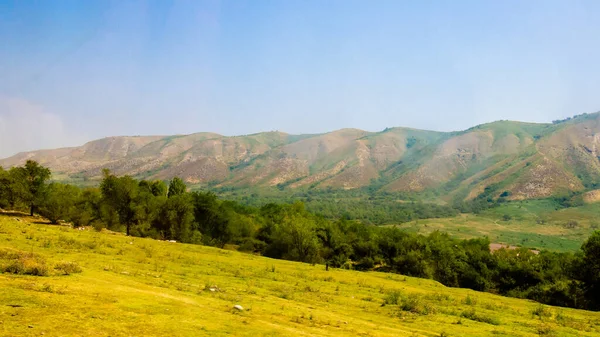 Floresta Abeto Uma Montanha Com Uma Grande Nuvem Céu — Fotografia de Stock