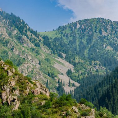 Yeşil tepeler ve dağlarla kaplı dağ manzarası