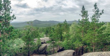 Yeşil ağaçlar ve kayalarla kaplı dağ manzarası