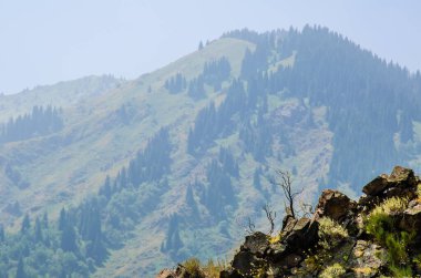 Dağ manzarası doğa manzarası 