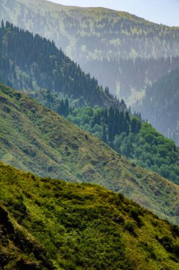 Ukrayna 'daki Karpat Dağları manzaralı 