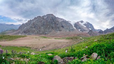 Dağlarla ve bulutlarla kaplı dağ manzarası