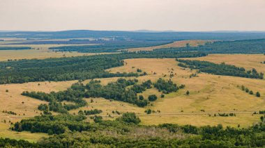 Dağ ve yeşil çimlerle kaplı yaz manzarası
