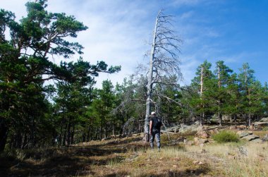 Sırt çantalı bir adam ormanda yürüyüş yapıyor.