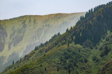 Dağ manzarası doğa manzarası 