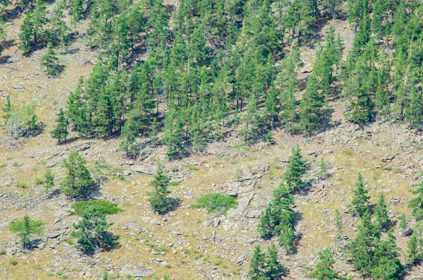 Paisaje Montaña Con Árboles Bosques — Foto de Stock