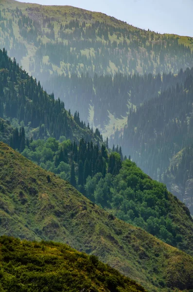 Paisaje Montaña Con Bosque — Foto de Stock