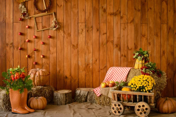 Süßes Herbstinterieur — Stockfoto