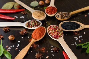 Tahta kaşıklar üzerinde çeşitli baharatlar. Gıda katkı maddeleri