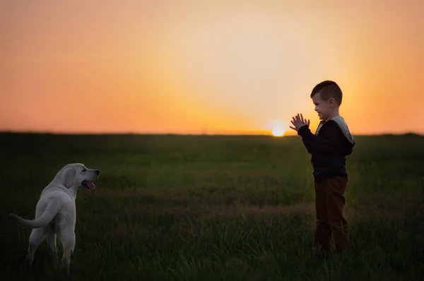 Liten pojke och söt hund — Stockfoto