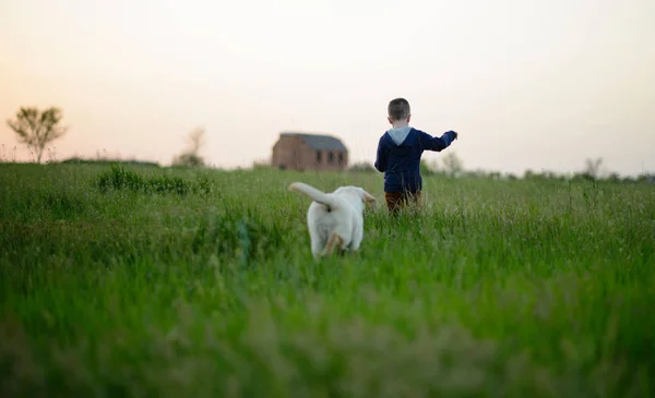 Băiat mic și câine drăguț — Fotografie, imagine de stoc