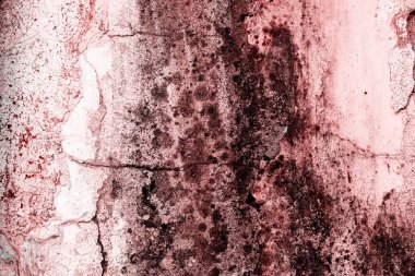 Çizik ve çatlaklarla dolu bir duvar parçası.