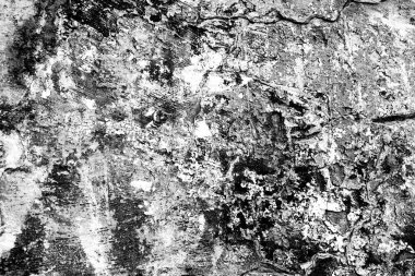 Texture.Wall. BT arka plan olarak kullanılabilir