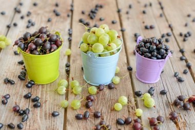 Bektaşi üzümü ve blackcurrant kovalar. Arka plan olarak kullanılabilir