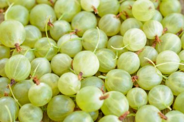 ahşap bir masa üzerine bektaşi üzümü