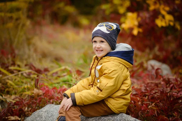 Söt liten unge pojke höstdag — Stockfoto