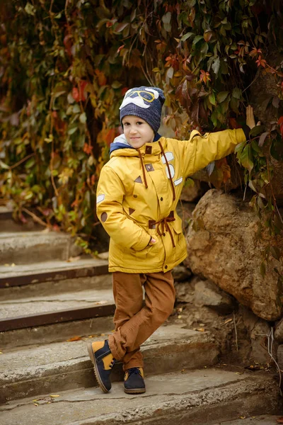 Bonito menino no dia de outono — Fotografia de Stock