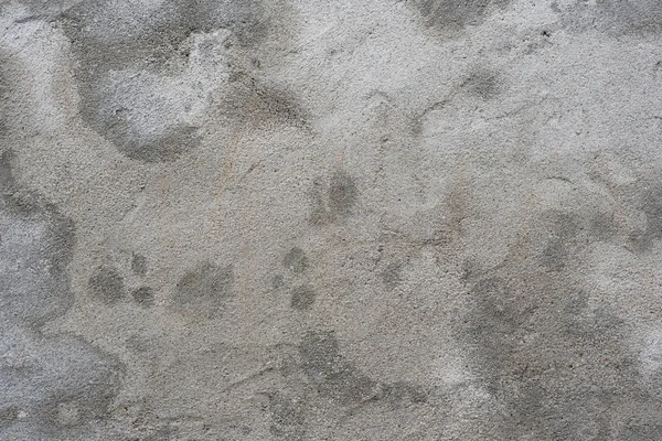 Fragmento Pared Con Arañazos Grietas — Foto de Stock