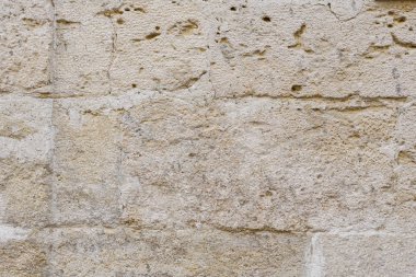 Texture.Wall. BT arka plan olarak kullanılabilir