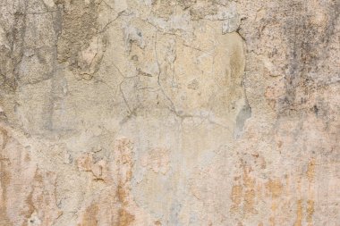 Texture.Wall. BT arka plan olarak kullanılabilir