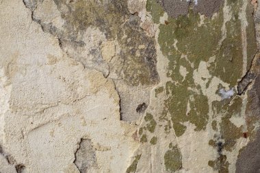 Texture.Wall. BT arka plan olarak kullanılabilir