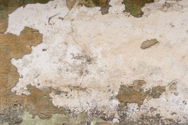 Texture.Wall. BT arka plan olarak kullanılabilir