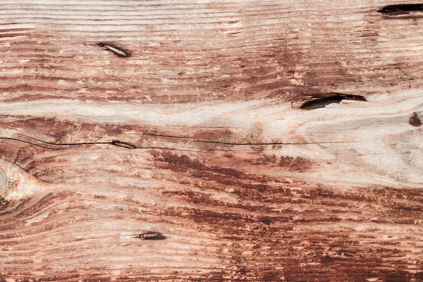 傷や亀裂に木製のテクスチャ — ストック写真