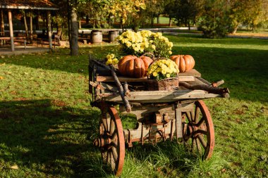 Sonbahar meyveli ahşap araba. Sonbahar hasat festivali - balkabaklı eski araba. 