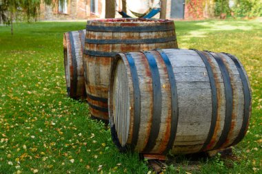 Şarap mahzenlerinde şarap fıçıları var. Şarap şişesi ve fıçılar.