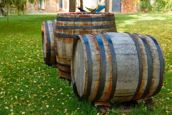Barricas de vino en bóvedas de vino en orden. Botella de vino y barricas — Foto de Stock