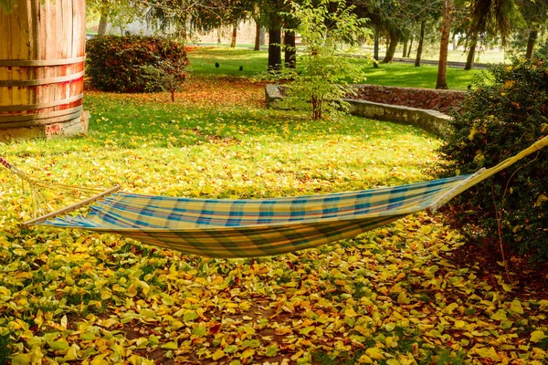 Красивый осенний пейзаж с желтыми деревьями и солнцем — стоковое фото
