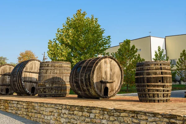 Barris de vinho em cofres de vinho em ordem. Garrafa de vinho e barris — Fotografia de Stock