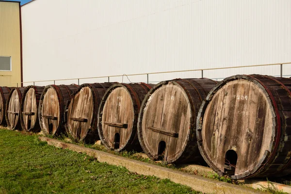 Barris de vinho em cofres de vinho em ordem. Garrafa de vinho e barris — Fotografia de Stock