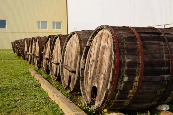 Barris de vinho em cofres de vinho em ordem. Garrafa de vinho e barris — Fotografia de Stock