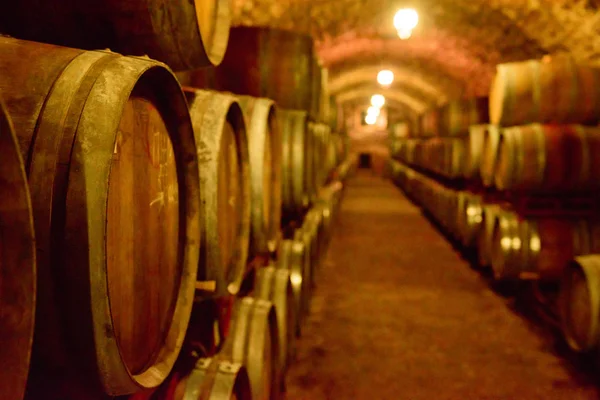 Barricas de vino en bóvedas de vino en orden. Botella de vino y barricas — Foto de Stock