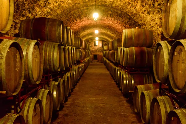 Wine barrels in wine-vaults in order. Wine bottle and barrels Royalty Free Stock Photos