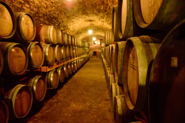 Barricas de vino en bóvedas de vino en orden. Botella de vino y barricas — Foto de Stock