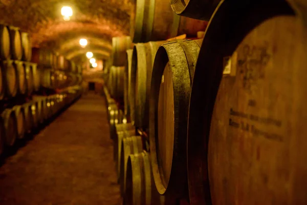 Barris de vinho em cofres de vinho em ordem. Garrafa de vinho e barris — Fotografia de Stock