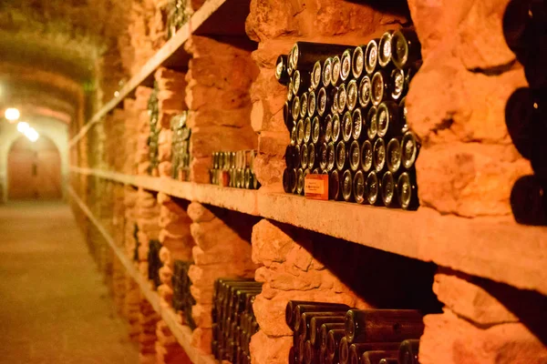 Botellas de vino tinto en una bodega — Foto de Stock